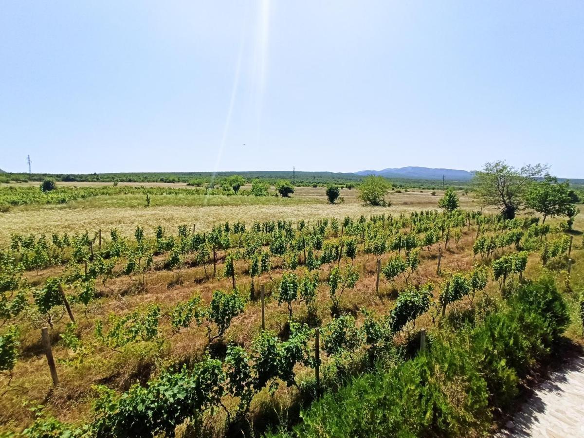Chateau Tetri Bairagebi White Flags Kisiskhevi Ngoại thất bức ảnh