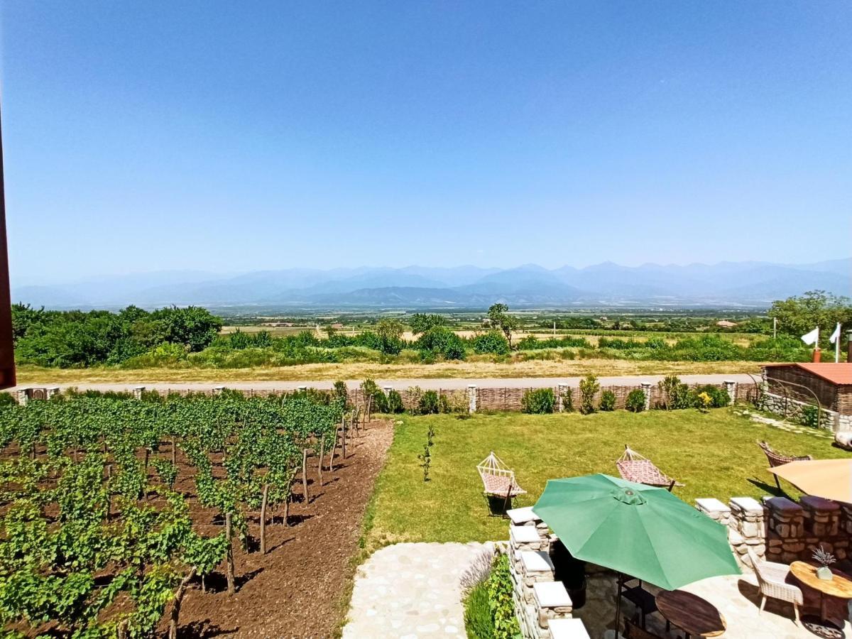 Chateau Tetri Bairagebi White Flags Kisiskhevi Ngoại thất bức ảnh