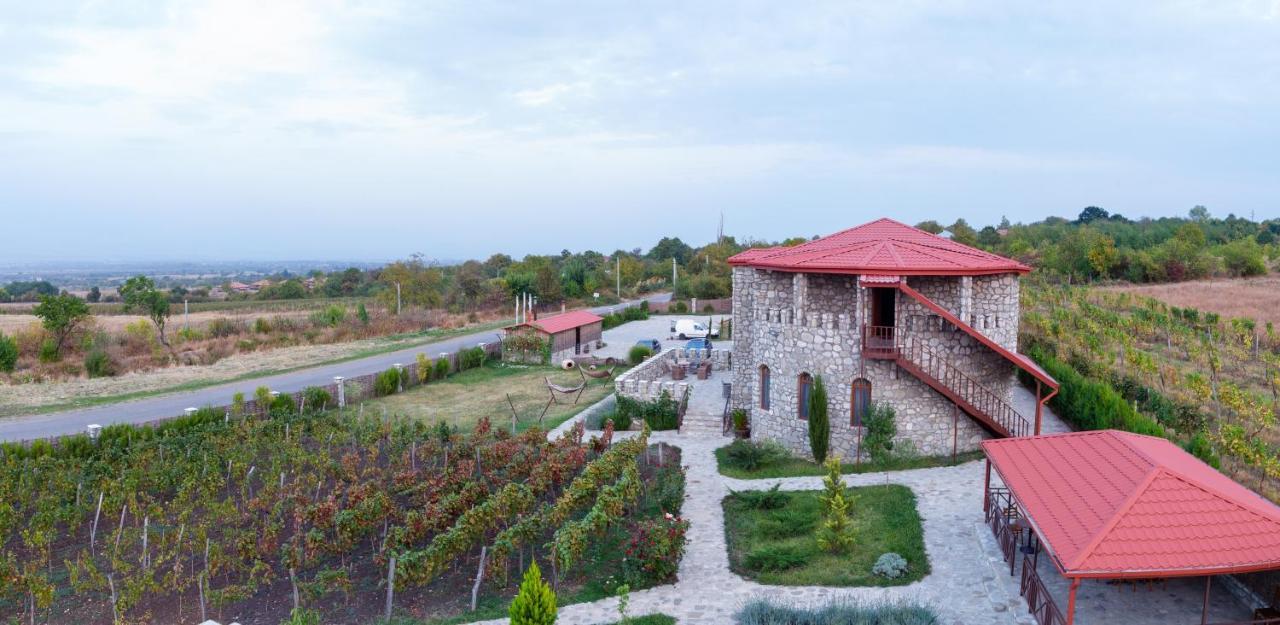 Chateau Tetri Bairagebi White Flags Kisiskhevi Ngoại thất bức ảnh