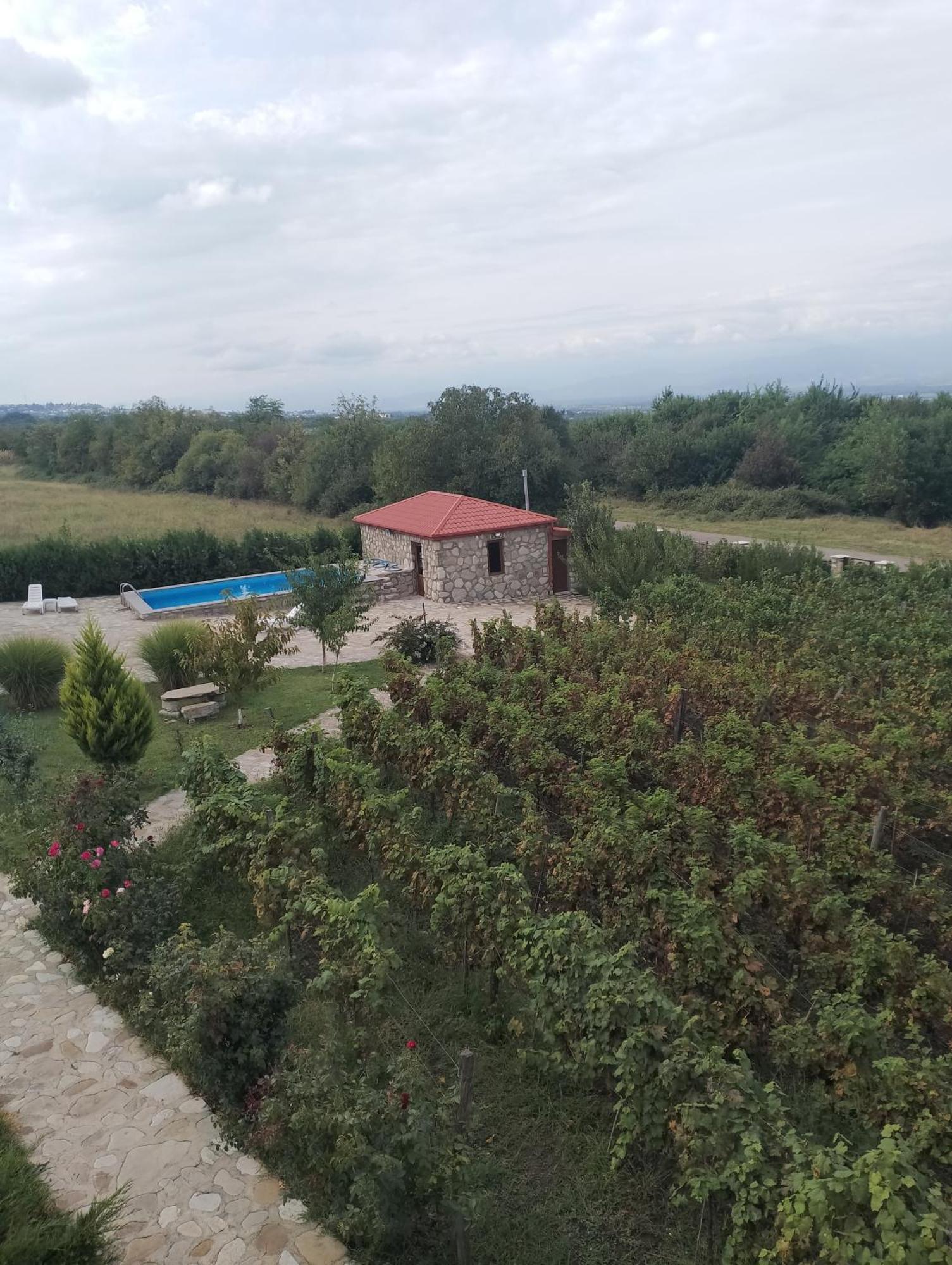 Chateau Tetri Bairagebi White Flags Kisiskhevi Ngoại thất bức ảnh