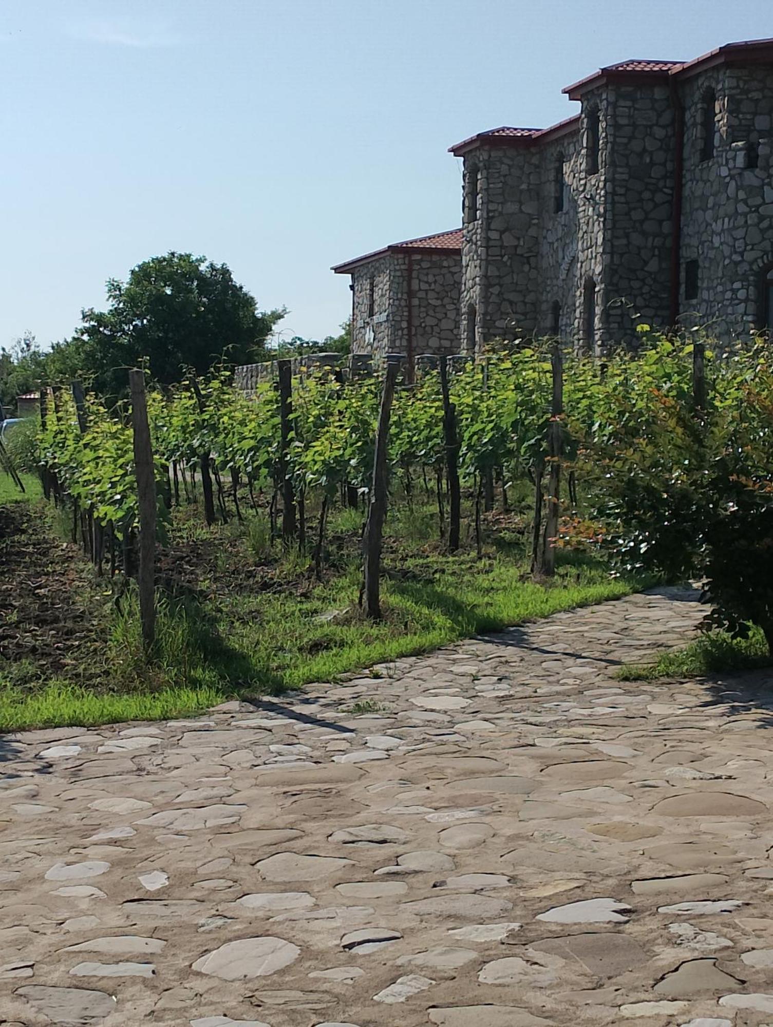 Chateau Tetri Bairagebi White Flags Kisiskhevi Ngoại thất bức ảnh